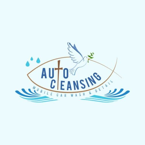 Auto Cleansing